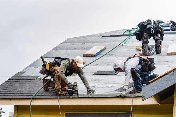 Professional Roof Installation technician working in Gully, MN